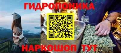 индика Кумертау